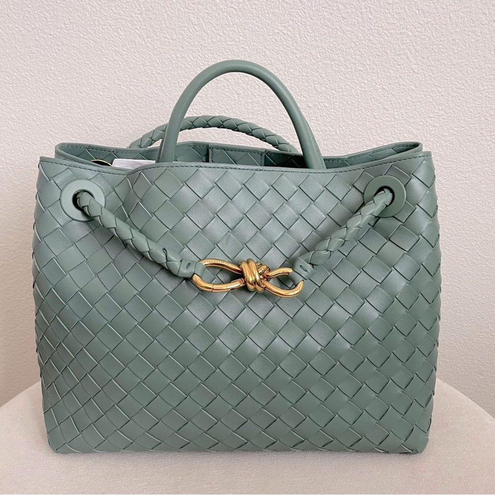 Bottega Veneta Medium Andiamo